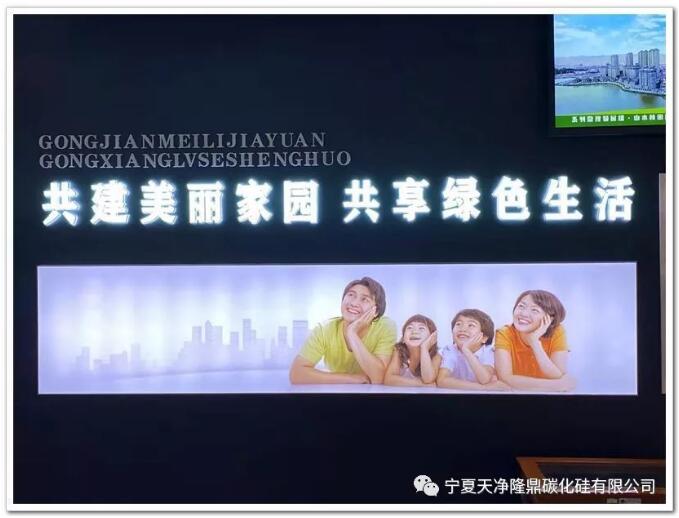 寧夏天凈隆鼎碳化硅有限公司|西北碳化硅|綠碳化硅|黑碳化硅|碳化硅微粉|碳化硅顆粒|煉鋼用碳化硅