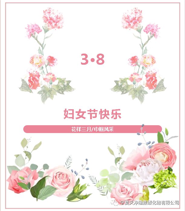 寧夏天凈隆鼎碳化硅有限公司|西北碳化硅|綠碳化硅|黑碳化硅|碳化硅微粉|碳化硅顆粒|煉鋼用碳化硅