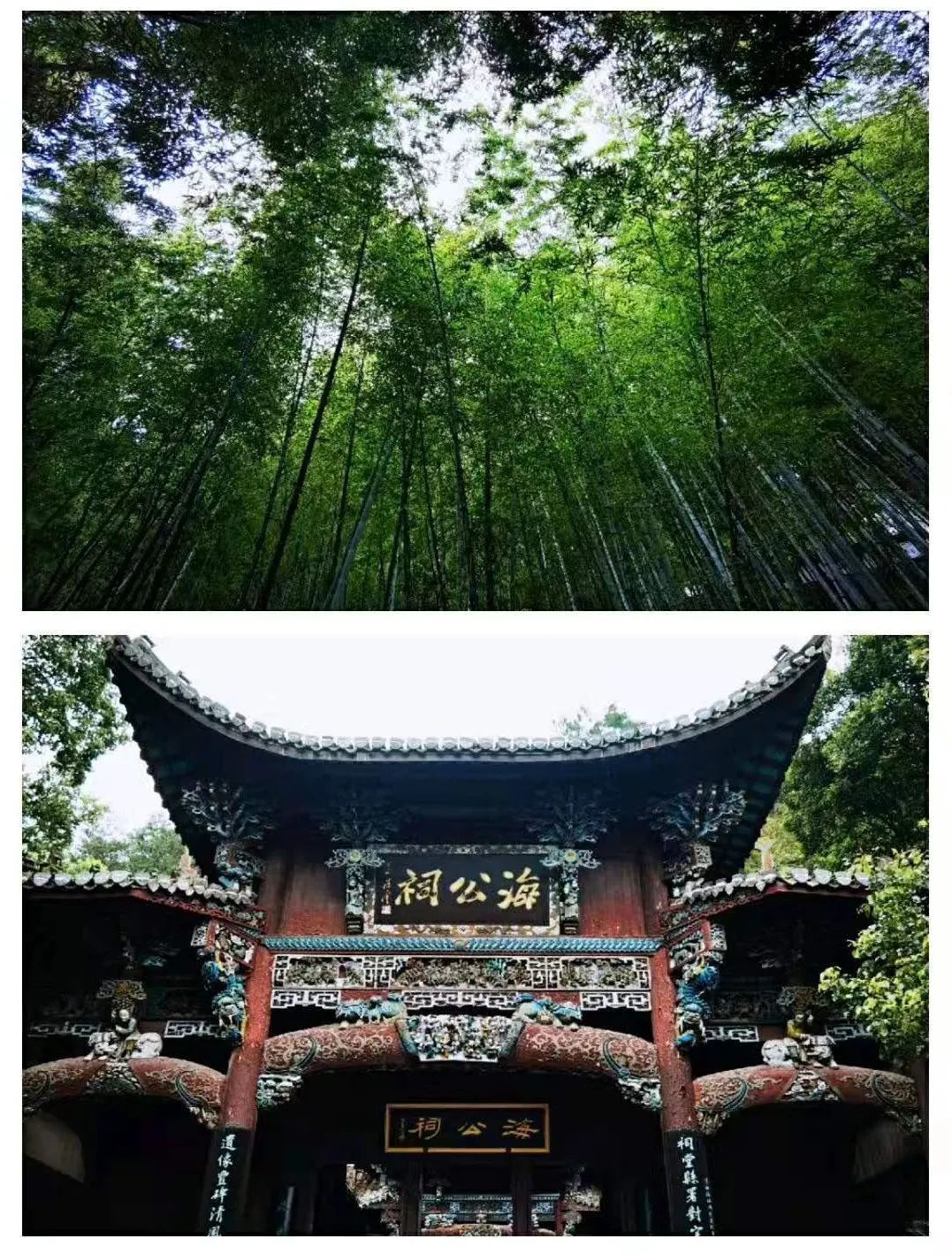 寧夏天凈隆鼎碳化硅有限公司|西北碳化硅|綠碳化硅|黑碳化硅|碳化硅微粉|碳化硅顆粒|煉鋼用碳化硅