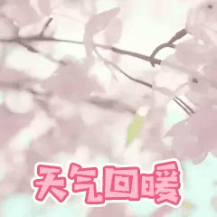 寧夏天凈隆鼎碳化硅有限公司|西北碳化硅|綠碳化硅|黑碳化硅|碳化硅微粉|碳化硅顆粒|煉鋼用碳化硅