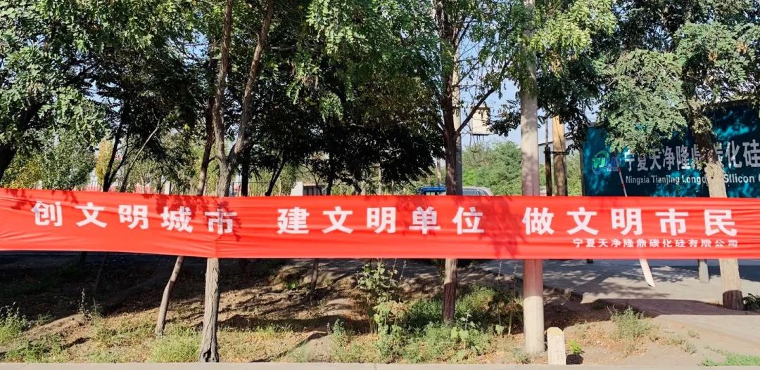 寧夏天凈隆鼎碳化硅有限公司|西北碳化硅|綠碳化硅|黑碳化硅|碳化硅微粉|碳化硅顆粒|煉鋼用碳化硅