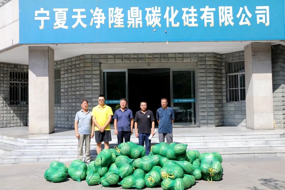 寧夏天凈隆鼎碳化硅有限公司|西北碳化硅|綠碳化硅|黑碳化硅|碳化硅微粉|碳化硅顆粒|煉鋼用碳化硅