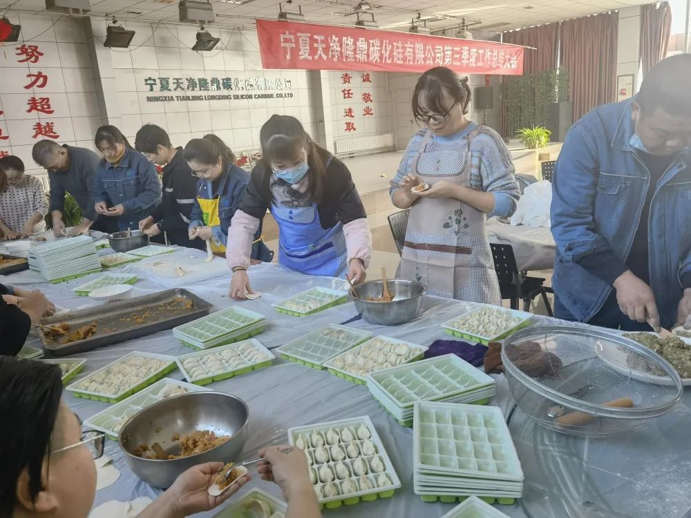 寧夏天凈隆鼎碳化硅有限公司|西北碳化硅|綠碳化硅|黑碳化硅|碳化硅微粉|碳化硅顆粒|煉鋼用碳化硅