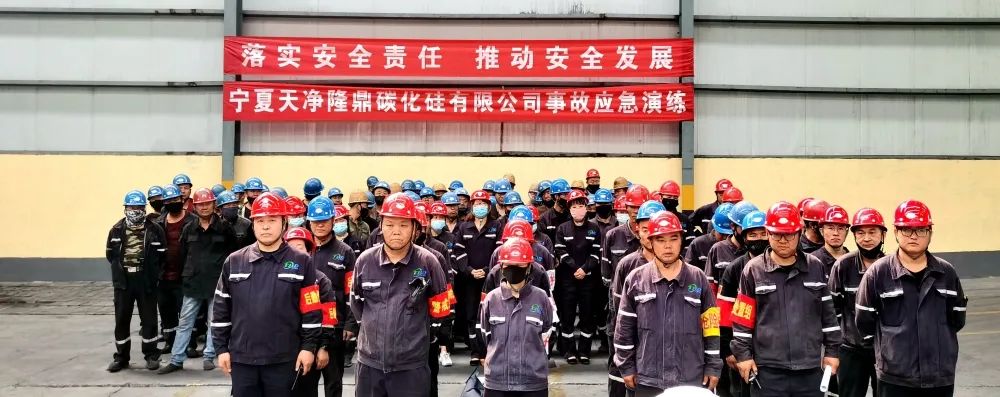 寧夏天凈隆鼎碳化硅有限公司|西北碳化硅|綠碳化硅|黑碳化硅|碳化硅微粉|碳化硅顆粒|煉鋼用碳化硅