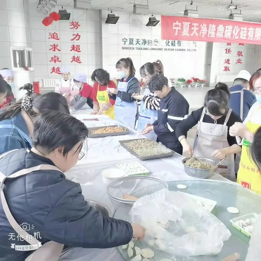寧夏天凈隆鼎碳化硅有限公司|西北碳化硅|綠碳化硅|黑碳化硅|碳化硅微粉|碳化硅顆粒|煉鋼用碳化硅