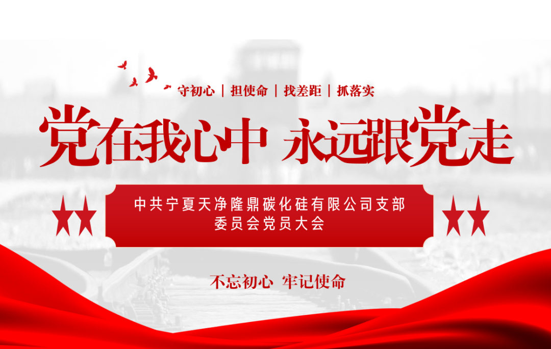 寧夏天凈隆鼎碳化硅有限公司|西北碳化硅|綠碳化硅|黑碳化硅|碳化硅微粉|碳化硅顆粒|煉鋼用碳化硅 寧夏天凈隆鼎碳化硅有限公司|西北碳化硅|綠碳化硅|黑碳化硅|碳化硅微粉|碳化硅顆粒|煉鋼用碳化硅