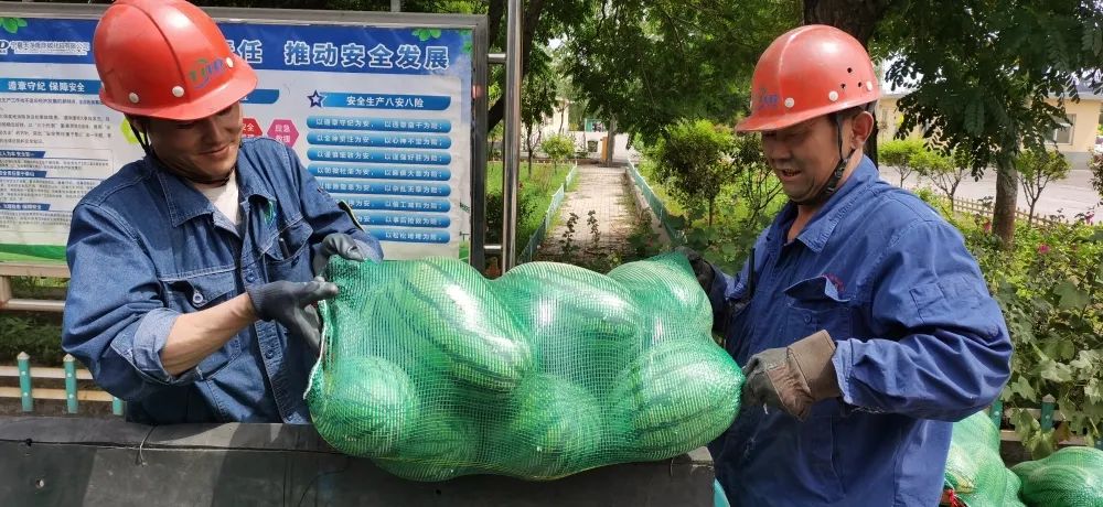 寧夏天凈隆鼎碳化硅有限公司|西北碳化硅|綠碳化硅|黑碳化硅|碳化硅微粉|碳化硅顆粒|煉鋼用碳化硅