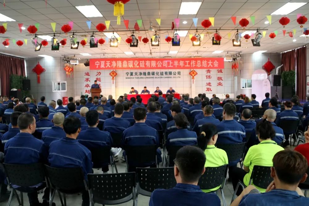 寧夏天凈隆鼎碳化硅有限公司|西北碳化硅|綠碳化硅|黑碳化硅|碳化硅微粉|碳化硅顆粒|煉鋼用碳化硅