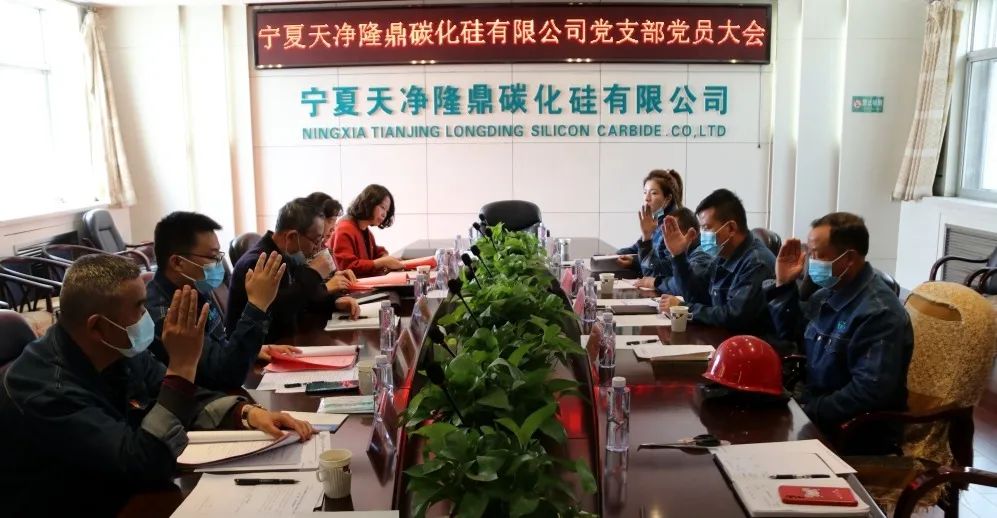 寧夏天凈隆鼎碳化硅有限公司|西北碳化硅|綠碳化硅|黑碳化硅|碳化硅微粉|碳化硅顆粒|煉鋼用碳化硅 寧夏天凈隆鼎碳化硅有限公司|西北碳化硅|綠碳化硅|黑碳化硅|碳化硅微粉|碳化硅顆粒|煉鋼用碳化硅