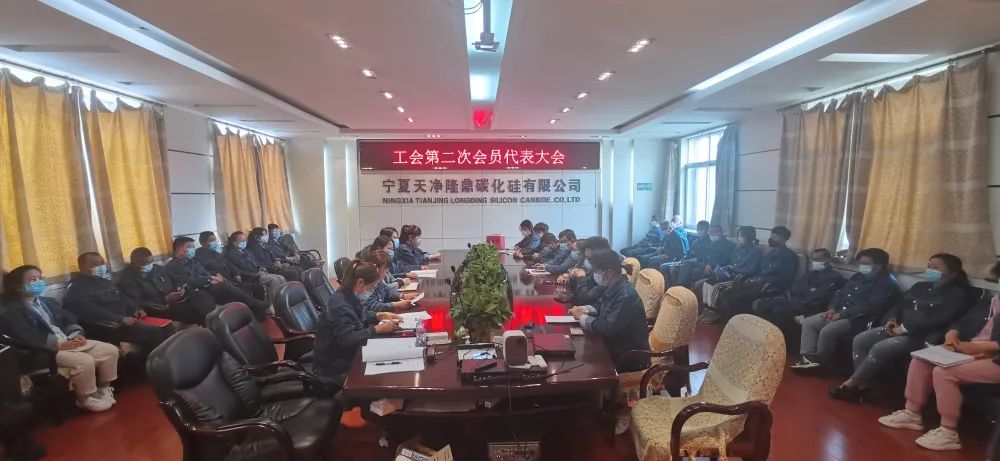 寧夏天凈隆鼎碳化硅有限公司|西北碳化硅|綠碳化硅|黑碳化硅|碳化硅微粉|碳化硅顆粒|煉鋼用碳化硅