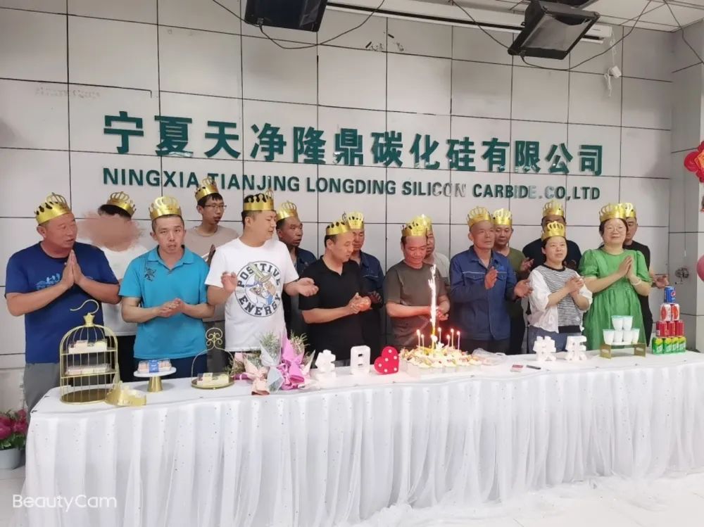寧夏天凈隆鼎碳化硅有限公司|西北碳化硅|綠碳化硅|黑碳化硅|碳化硅微粉|碳化硅顆粒|煉鋼用碳化硅