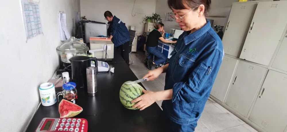 寧夏天凈隆鼎碳化硅有限公司|西北碳化硅|綠碳化硅|黑碳化硅|碳化硅微粉|碳化硅顆粒|煉鋼用碳化硅