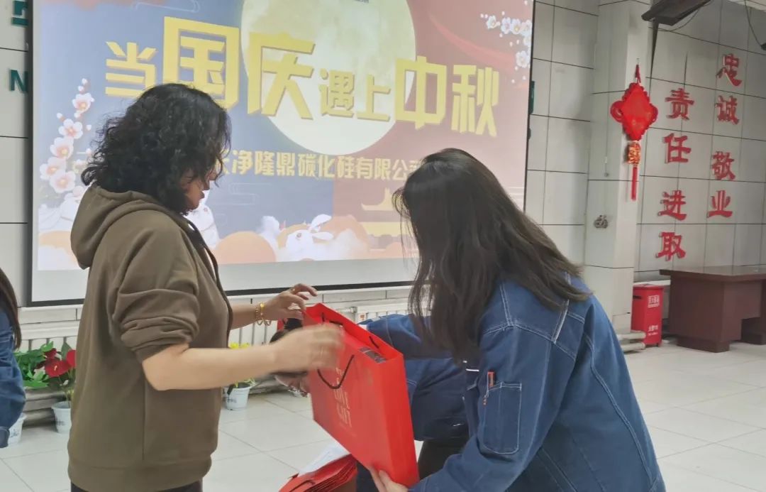 寧夏天凈隆鼎碳化硅有限公司|西北碳化硅|綠碳化硅|黑碳化硅|碳化硅微粉|碳化硅顆粒|煉鋼用碳化硅