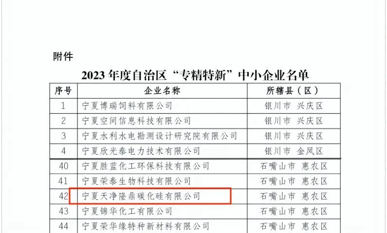 寧夏天凈隆鼎碳化硅有限公司|西北碳化硅|綠碳化硅|黑碳化硅|碳化硅微粉|碳化硅顆粒|煉鋼用碳化硅